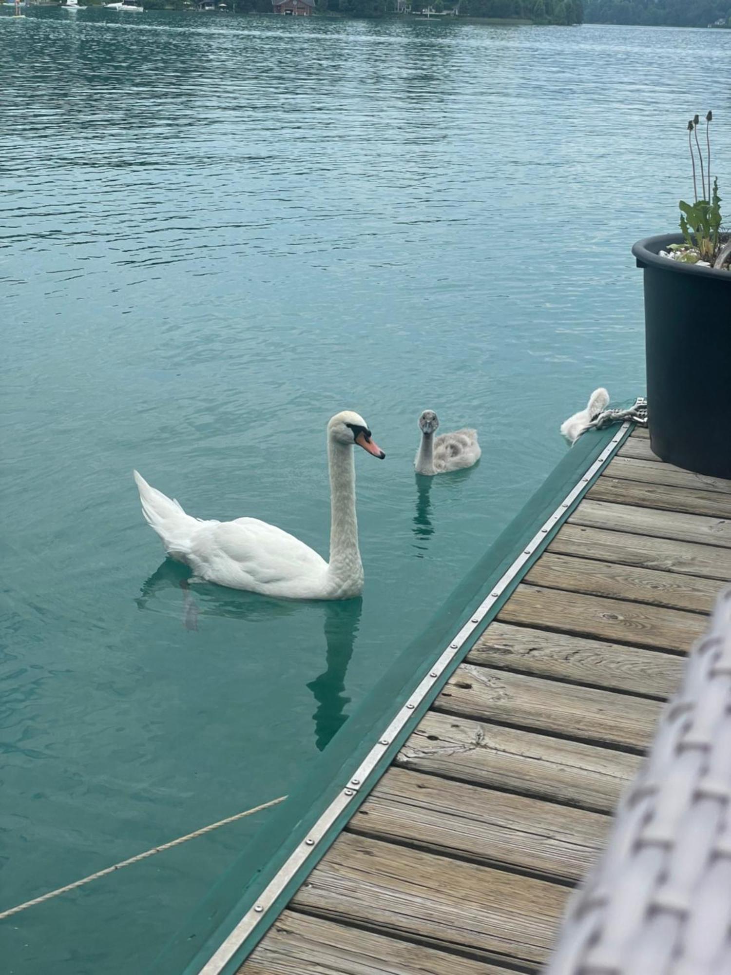 Strandhaus Am Woerthersee เวลเดน อัม เวิร์ทเทอร์ซี ภายนอก รูปภาพ